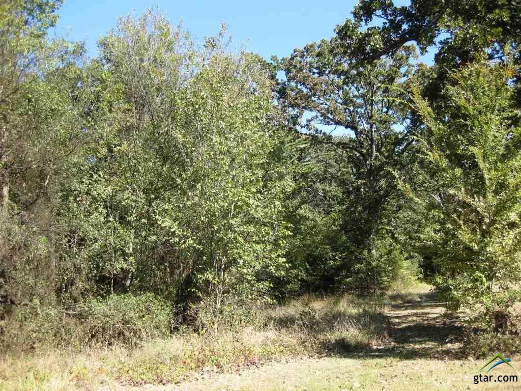 TBD S Hwy 37: S Hwy 37, Mount Vernon, TX 75457